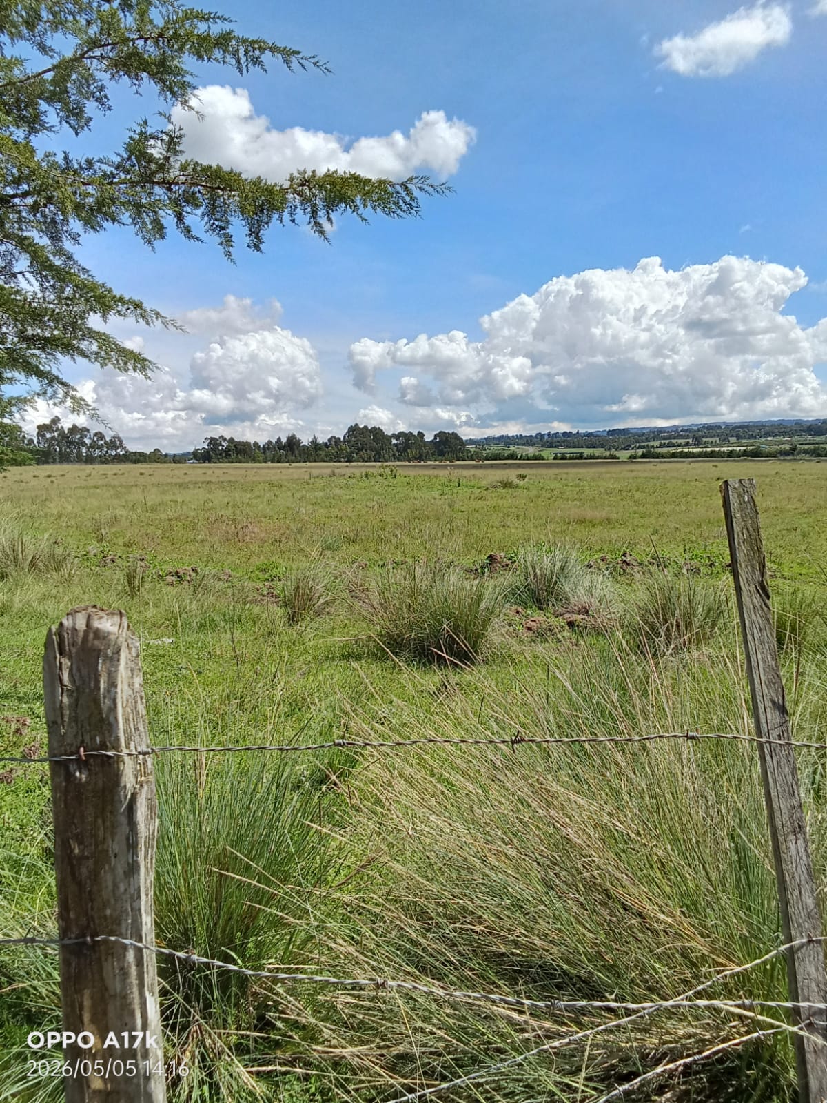 100 Acres Prime Agricultural Land