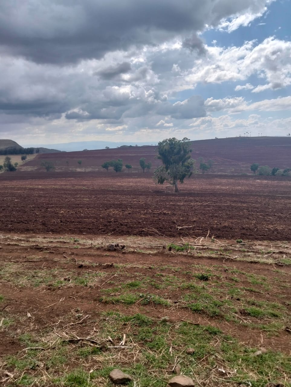 Subukia land