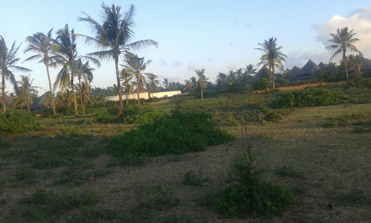 Mambrui Beachfront Investment Land