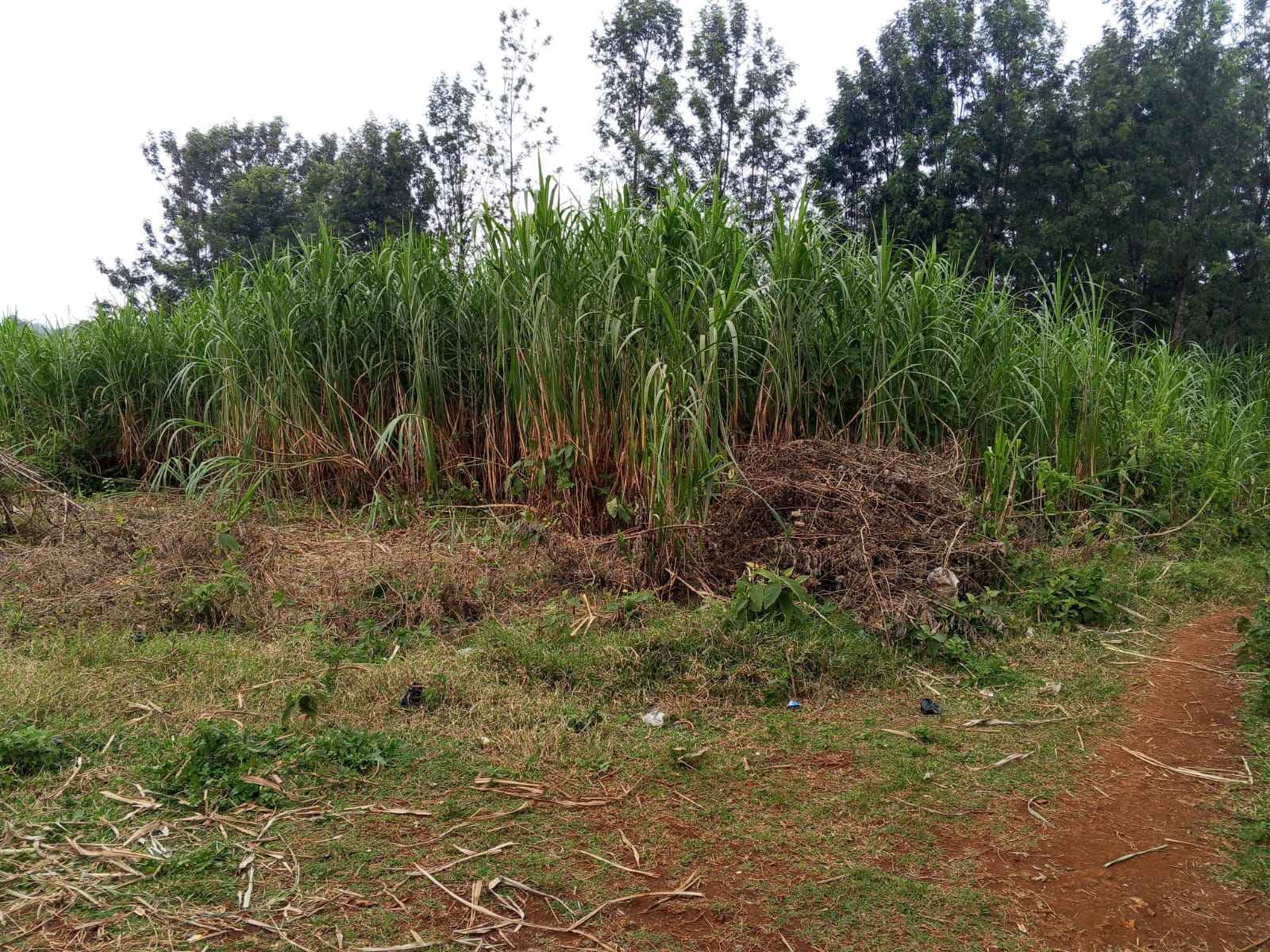 Prime Land