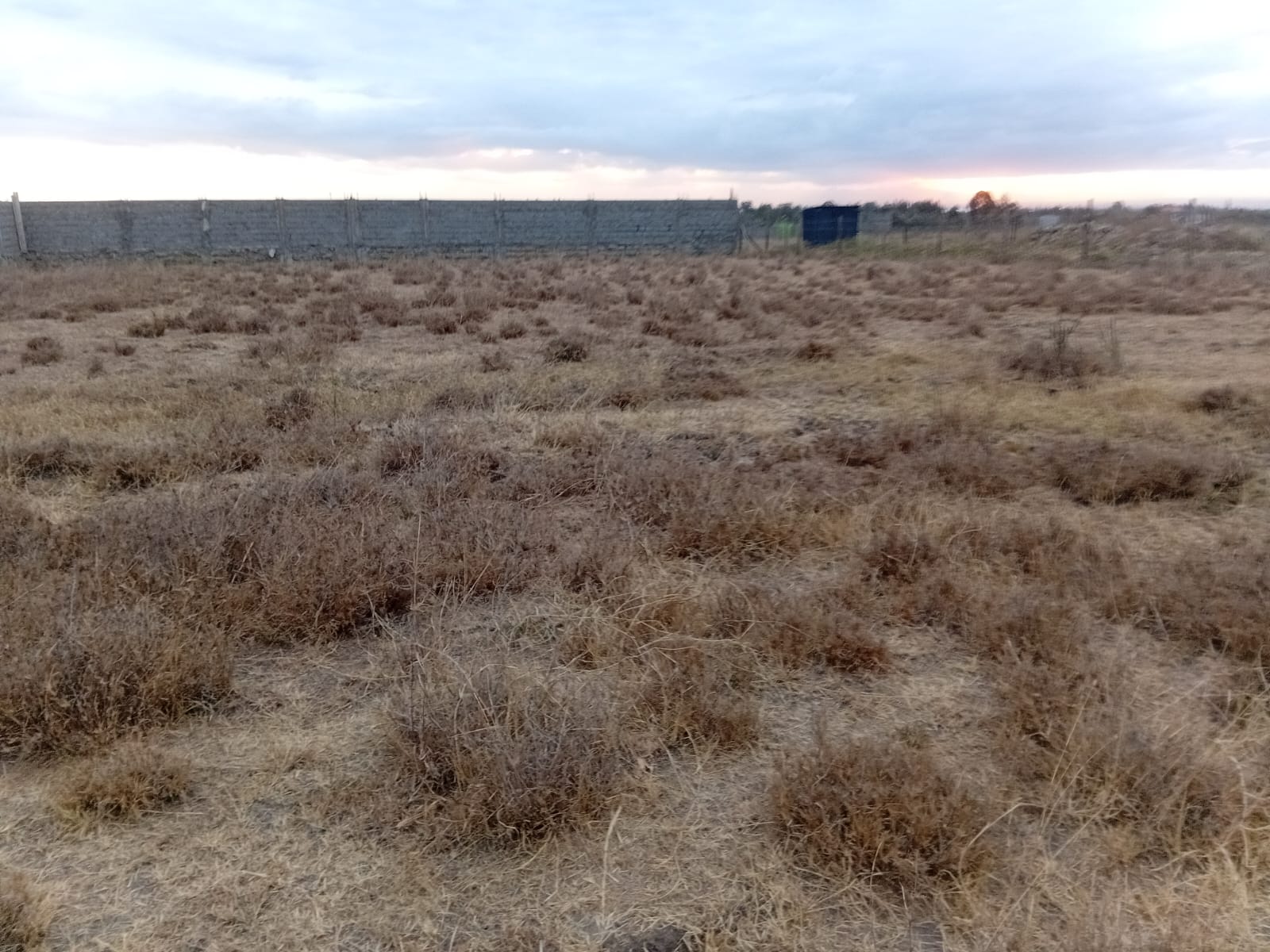 Strategic 100×100 Plot – Ruai
